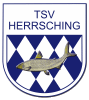 TSV Herrsching Abteilung Fussball